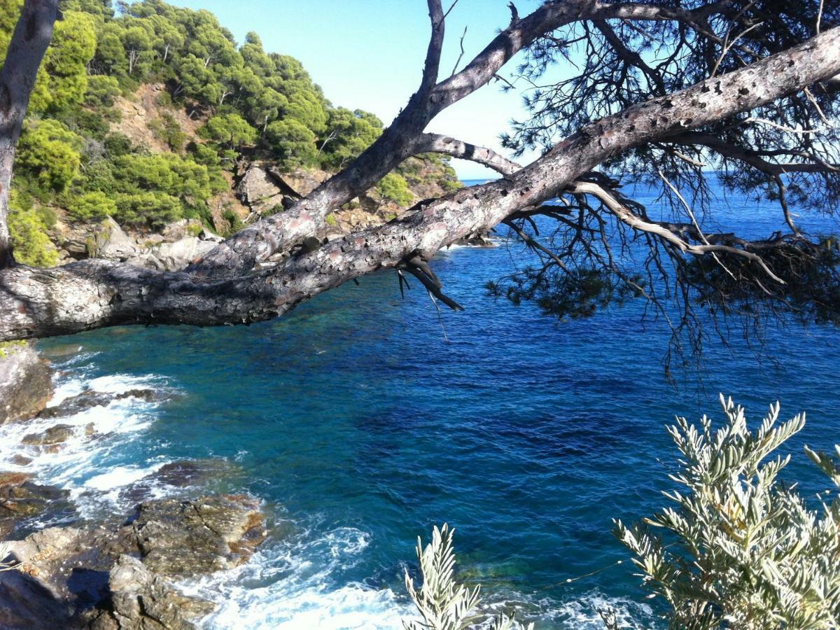 Villa De Vacances Au Calme Proche De La Mer La Londe-les-Maures Zewnętrze zdjęcie