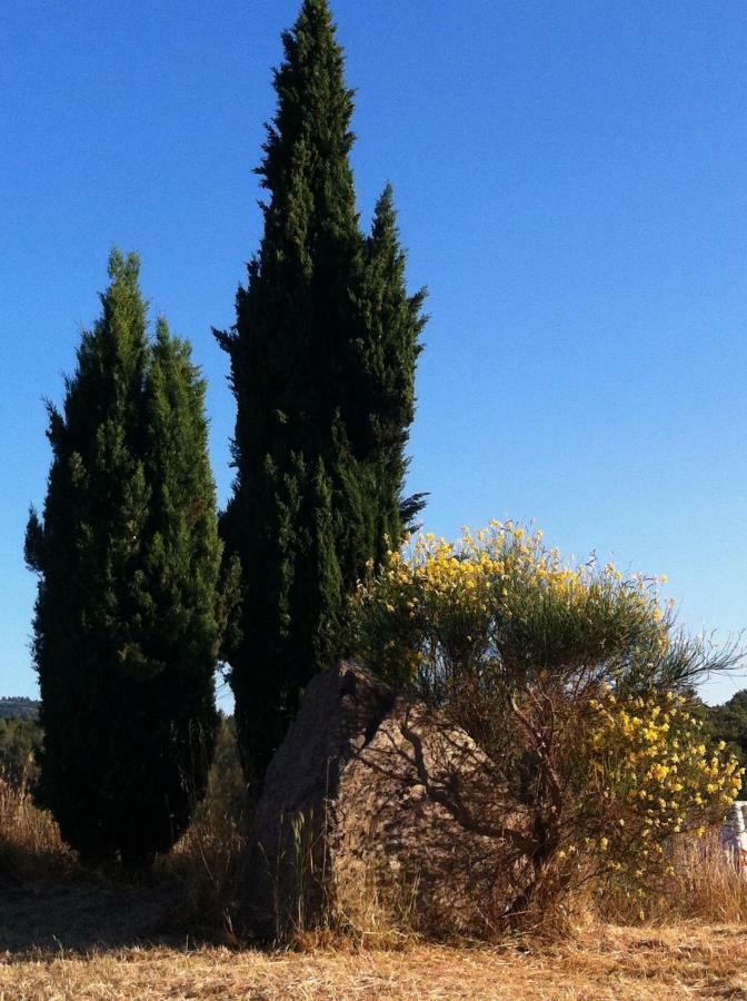 Villa De Vacances Au Calme Proche De La Mer La Londe-les-Maures Zewnętrze zdjęcie